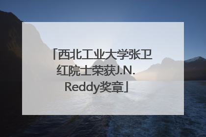西北工业大学张卫红院士荣获J.N.Reddy奖章