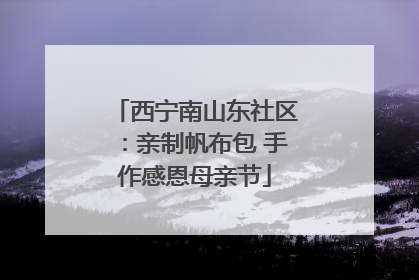 西宁南山东社区：亲制帆布包 手作感恩母亲节