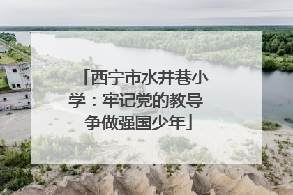 西宁市水井巷小学：牢记党的教导 争做强国少年