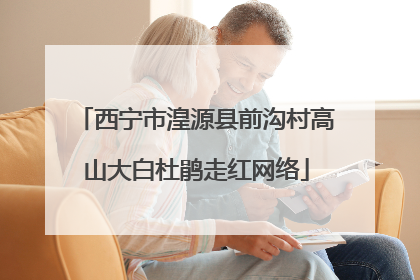 西宁市湟源县前沟村高山大白杜鹃走红网络