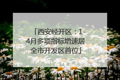 西安经开区：1-4月多项指标增速居全市开发区首位