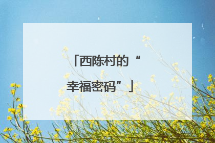 西陈村的“幸福密码”