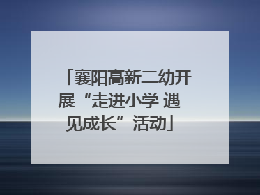 襄阳高新二幼开展“走进小学 遇见成长”活动