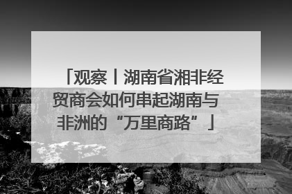 观察丨湖南省湘非经贸商会如何串起湖南与非洲的“万里商路”