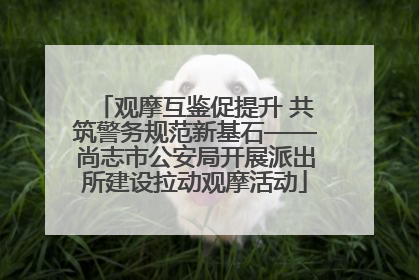 观摩互鉴促提升 共筑警务规范新基石——尚志市公安局开展派出所建设拉动观摩活动