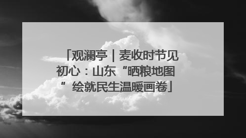 观澜亭｜麦收时节见初心：山东“晒粮地图”绘就民生温暖画卷