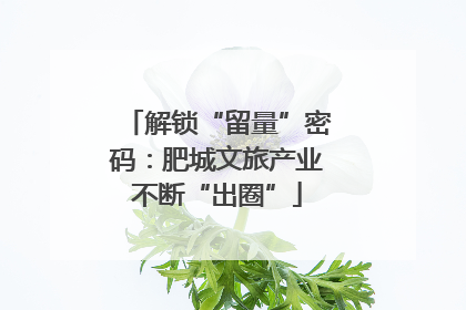 解锁“留量”密码：肥城文旅产业不断“出圈”