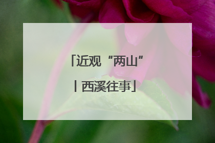 近观“两山”丨西溪往事