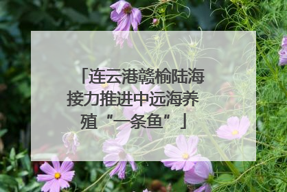 连云港赣榆陆海接力推进中远海养殖“一条鱼”