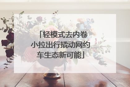 轻模式去内卷 小拉出行撬动网约车生态新可能