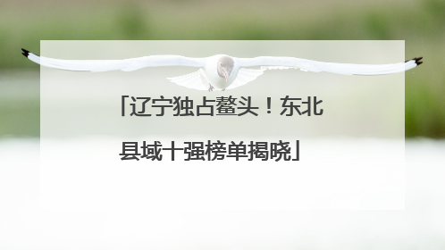辽宁独占鳌头！东北县域十强榜单揭晓