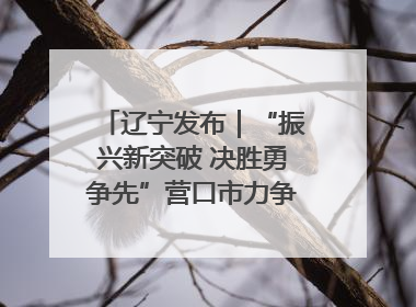 辽宁发布｜“振兴新突破 决胜勇争先”营口市力争上半年GDP增长6%左右