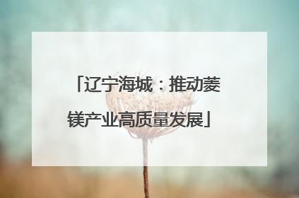辽宁海城：推动菱镁产业高质量发展