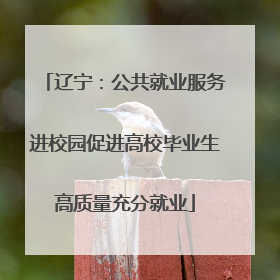 辽宁：公共就业服务进校园促进高校毕业生高质量充分就业