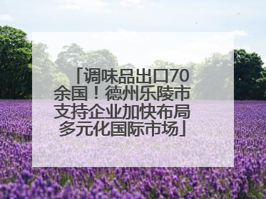 调味品出口70余国！德州乐陵市支持企业加快布局多元化国际市场