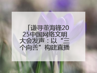 谦寻董海锋2025中国网络文明大会发声：以“三个向善”构建直播电商善意长河