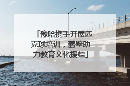 豫哈携手开展匹克球培训，鹤壁助力教育文化援疆