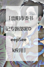 贵阳市委书记专题部署DeepSeek应用