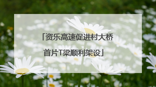 资乐高速促进村大桥首片T梁顺利架设