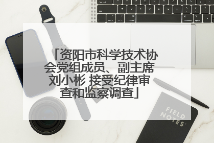 资阳市科学技术协会党组成员、副主席刘小彬 接受纪律审查和监察调查