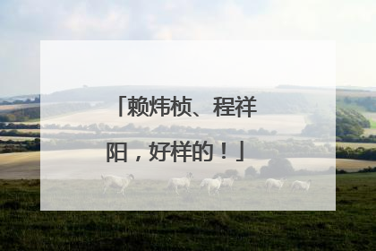 赖炜桢、程祥阳，好样的！