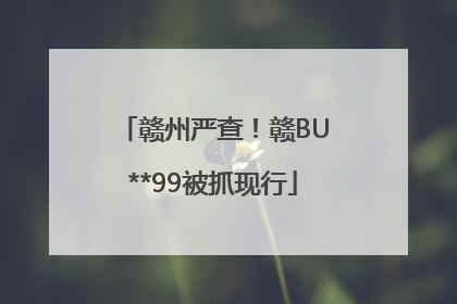 赣州严查！赣BU**99被抓现行