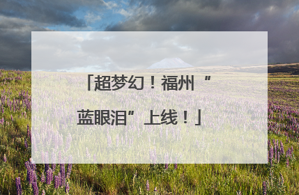 超梦幻！福州“蓝眼泪”上线！