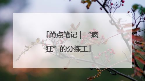 蹲点笔记｜“疯狂”的分拣工