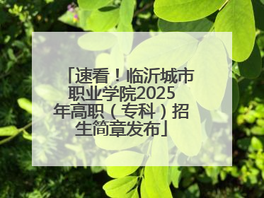 速看！临沂城市职业学院2025年高职（专科）招生简章发布