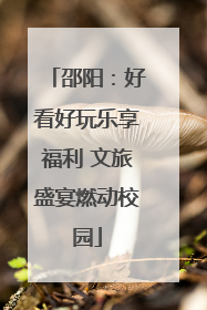 邵阳：好看好玩乐享福利 文旅盛宴燃动校园