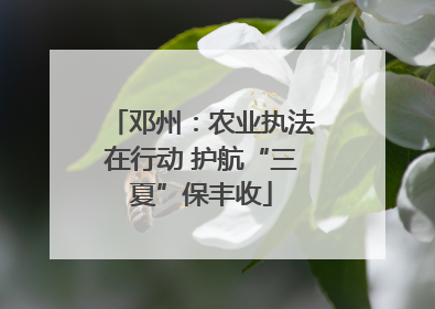 邓州：农业执法在行动 护航“三夏”保丰收