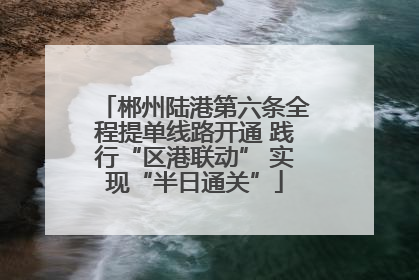 郴州陆港第六条全程提单线路开通 践行“区港联动” 实现“半日通关”