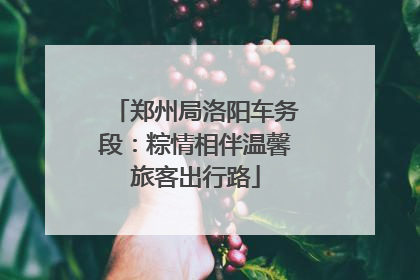 郑州局洛阳车务段：粽情相伴温馨旅客出行路