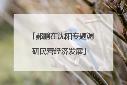 郝鹏在沈阳专题调研民营经济发展