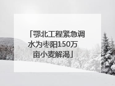 鄂北工程紧急调水为枣阳150万亩小麦解渴