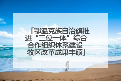鄂温克族自治旗推进“三位一体”综合合作组织体系建设 牧区改革成果丰硕