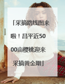 采摘路线图来啦！昌平近5000亩樱桃迎来采摘黄金期