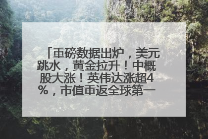 重磅数据出炉，美元跳水，黄金拉升！中概股大涨！英伟达涨超4%，市值重返全球第一！黄仁勋计划出售至多600万股股票