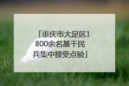 重庆市大足区1800余名基干民兵集中接受点验