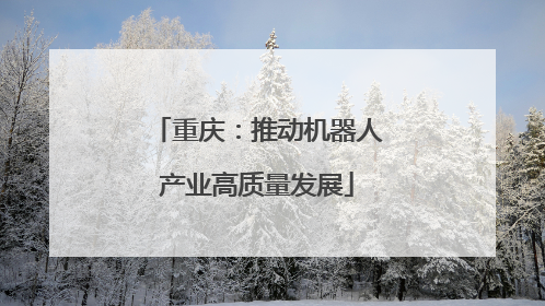 重庆：推动机器人产业高质量发展