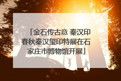 金石传古意 秦汉印春秋秦汉玺印特展在石家庄市博物馆开展