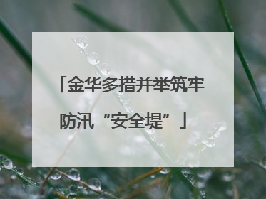 金华多措并举筑牢防汛“安全堤”