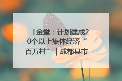 金堂：计划建成20个以上集体经济“百万村”｜成都县市新城高质量发展