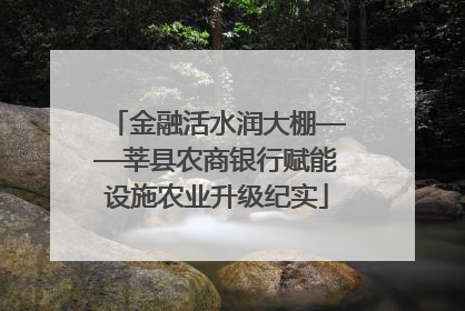 金融活水润大棚——莘县农商银行赋能设施农业升级纪实