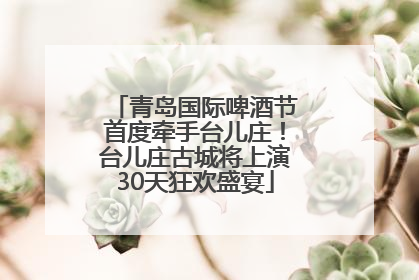 青岛国际啤酒节首度牵手台儿庄！台儿庄古城将上演30天狂欢盛宴