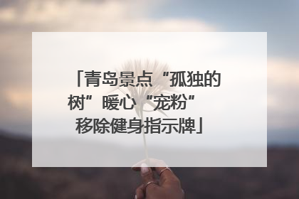 青岛景点“孤独的树”暖心“宠粉” 移除健身指示牌