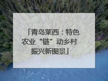 青岛莱西：特色农业“链”动乡村振兴新图景