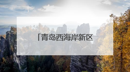 青岛西海岸新区：以爱为笔，绘就社区温暖新篇章