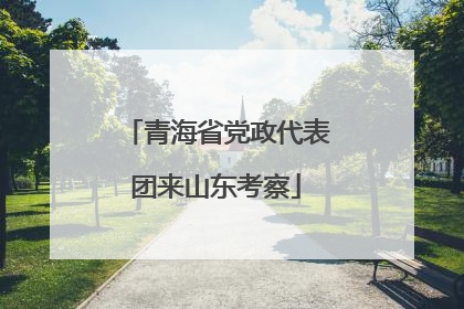 青海省党政代表团来山东考察