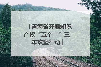 青海省开展知识产权“五个一”三年攻坚行动